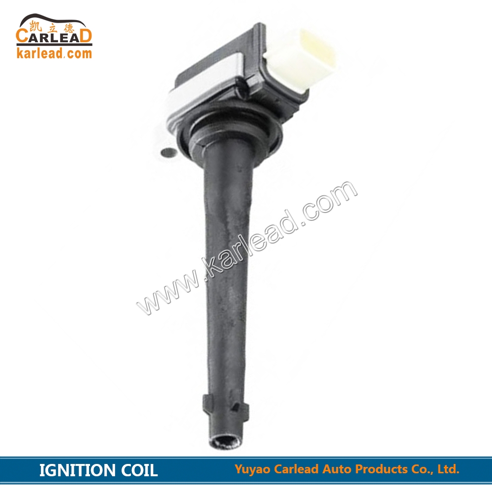0221504030, 8200699627, DQG133F, Ignition Coil